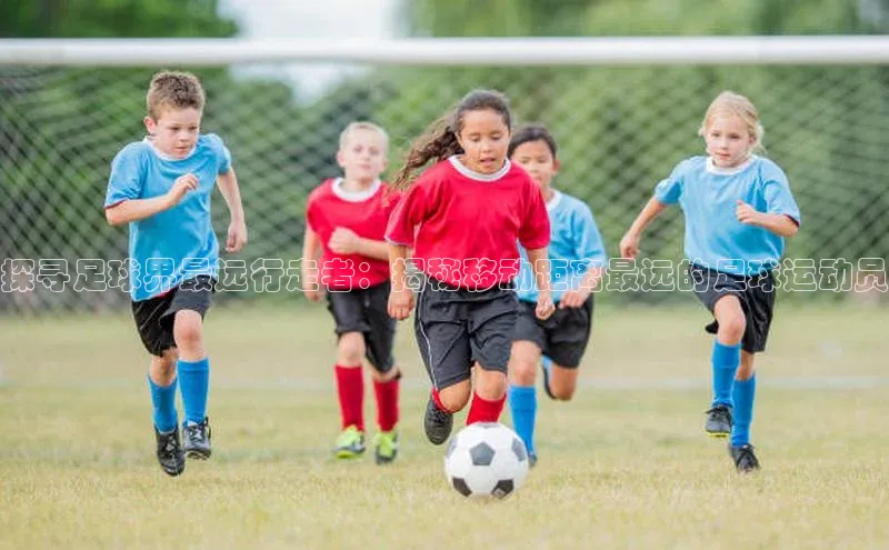 门徒娱乐平台登录入口观星盘