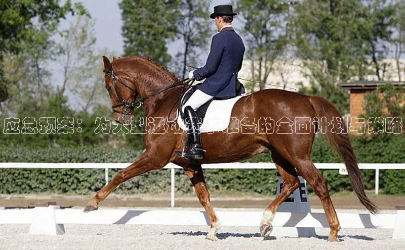 门徒娱乐登录百度 H5