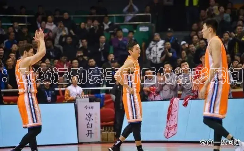 门徒娱乐平台登录入口