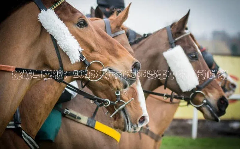 门徒注册登录地址