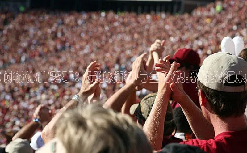 门徒娱乐平台登录入口