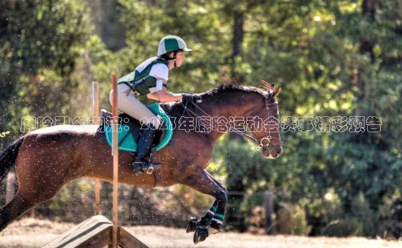 门徒平台登录地址